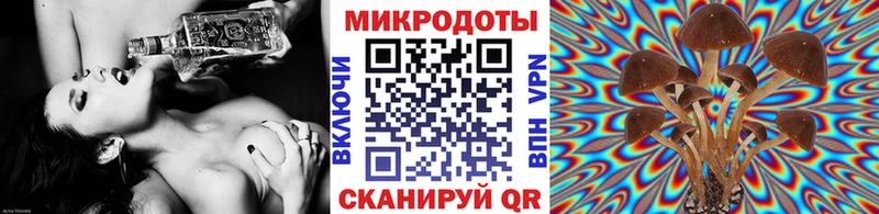 ссылка на мегу онион  купить наркоту  Хадыженск  Псилоцибиновые грибы ЛСД 